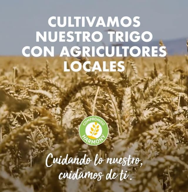 Thumbnail 7 de Fontaneda Galletas Digestive con Avena, 10 Cajas de 550 g 🍪