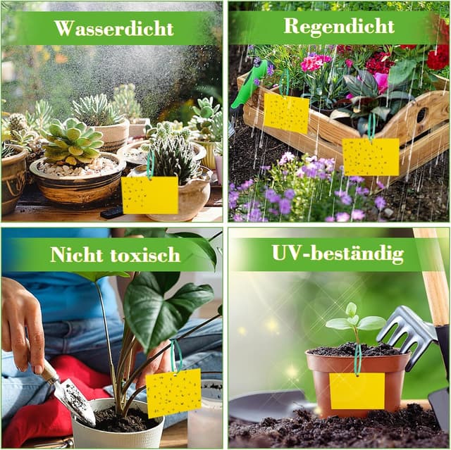 Detalle 1 de Gelbsticker für Trauermücken, 40 x 2er