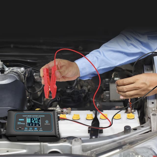 Detalle de 20-Amp LiFePO4 battery charger 12V 24V