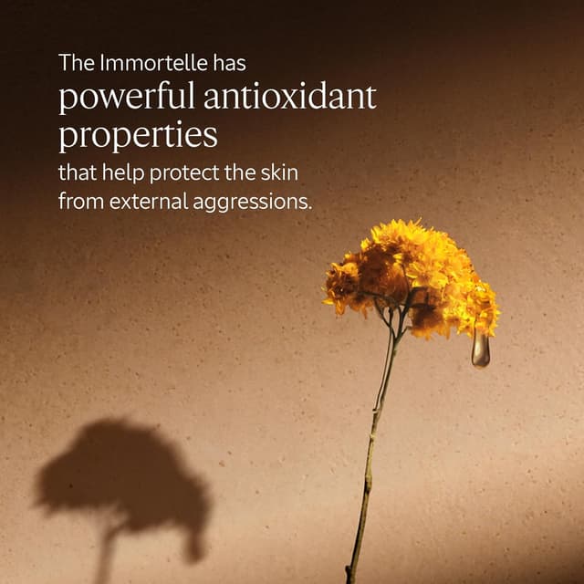 Detalle de L'Occitane Immortelle Divine Face Cream (50 ml) – anti-ageing moisturiser