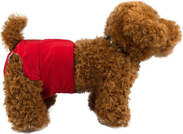 Detalle de CuteBone 3er-Pack waschbare Hundewindeln für Damen (XS) – wasserdichte Welpenhosen mit Klett & verstellbarem Rückenausschnitt