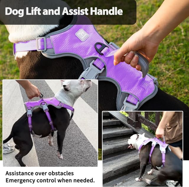 Detalle 2 de Huntboo No Escape Dog Harness Lavender M