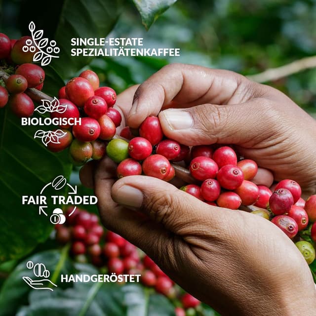 Thumbnail 6 de Innovatives Kaffee Geschenk Set für Männer & Frauen – 14 Single-Estate & Bio Spezialitäten als Probierset von weltweit