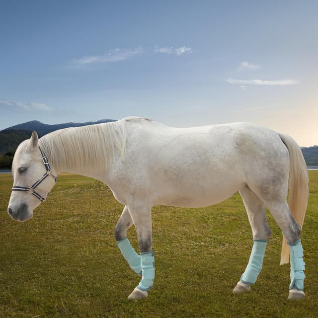 Detalle 2 de Gallopoff Horse Fly Boots Set of 4, Sky Blue 🐴