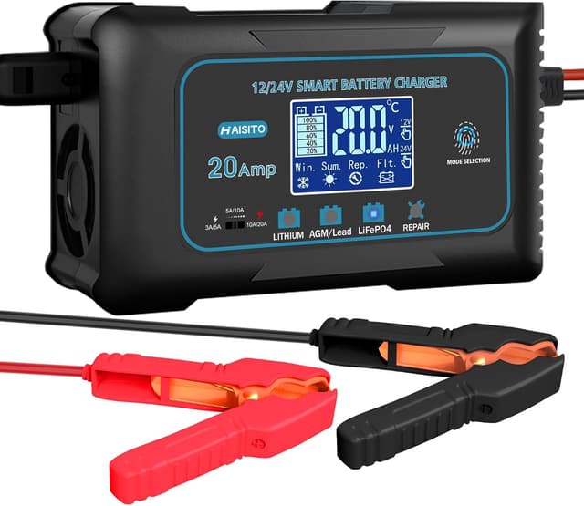 Detalle de 20-Amp LiFePO4 battery charger 12V 24V