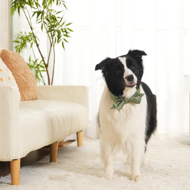 Thumbnail 4 de Lovelyshop Pet Bow Tie Collar Large