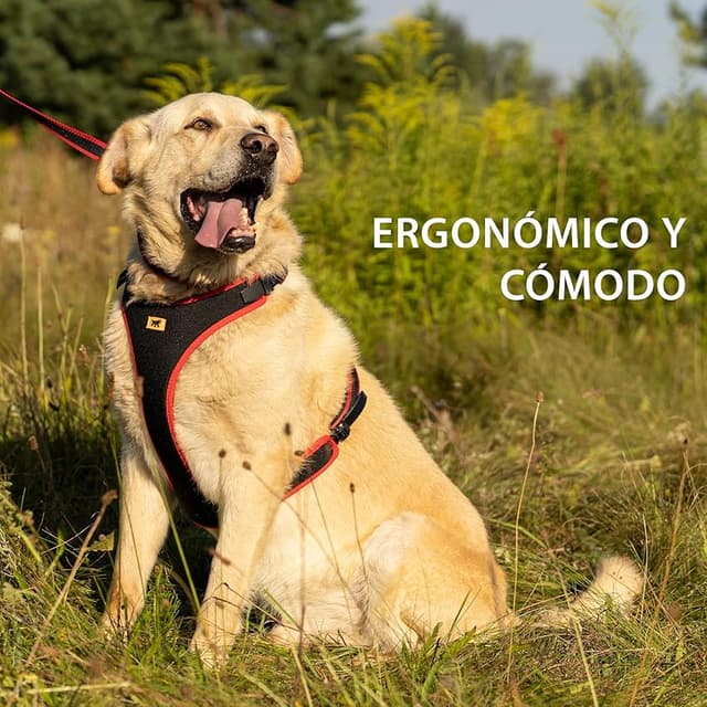 Thumbnail 1 de Ferplast Arnés ERGOCOMFORT para Perros Grandes 🐕