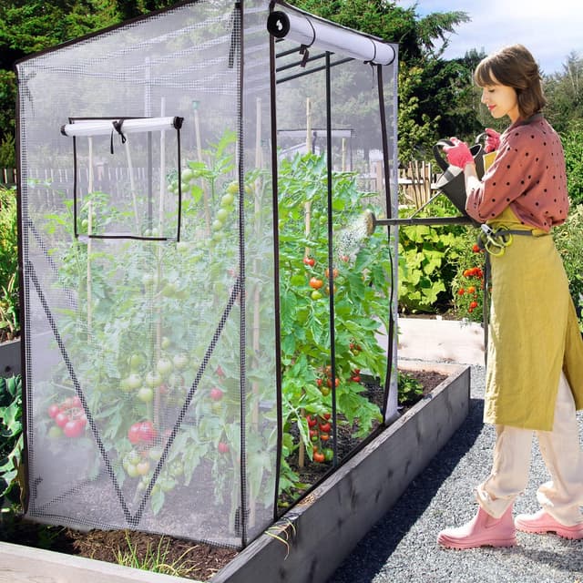 Thumbnail 6 de Ohuhu Walk In Greenhouse (Portable Tomato Greenhouse) with PE Cover & Roll-Up Door, White 200x77x170 cm