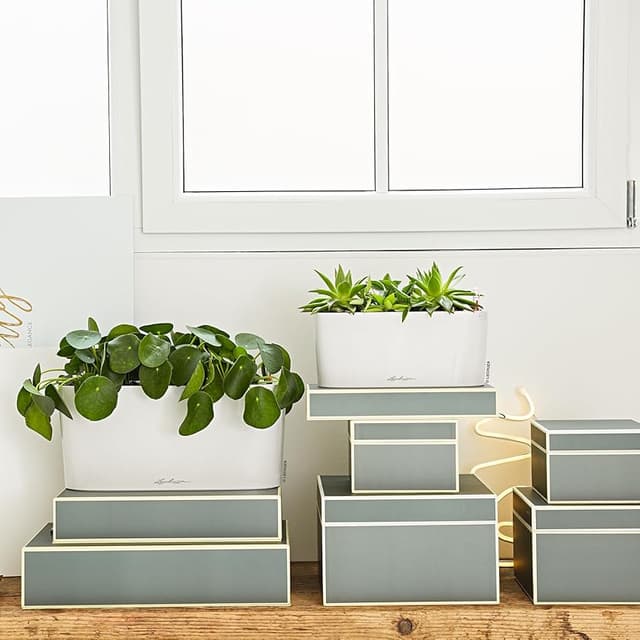 Detalle de LECHUZA DELTA 10 macetero blanco 10 l sistema de riego