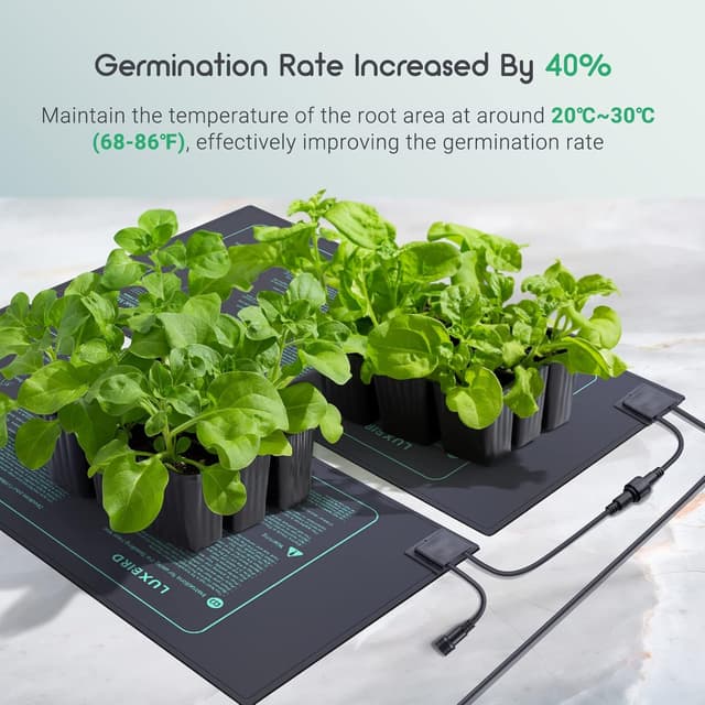 Detalle de Luxbird Tapis chauffant pour plantes avec thermostat et contrôleur (2 tapis, IP67, 30 W)