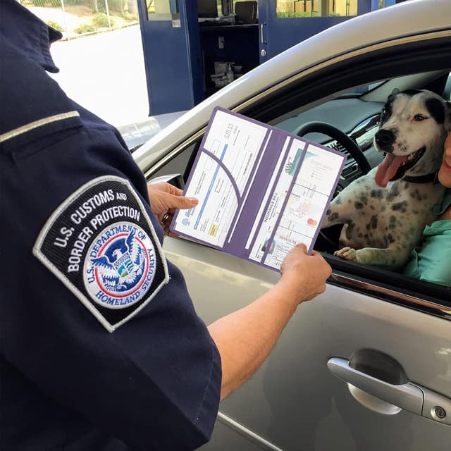 Thumbnail 6 de LumiMokki car registration holder, Purple