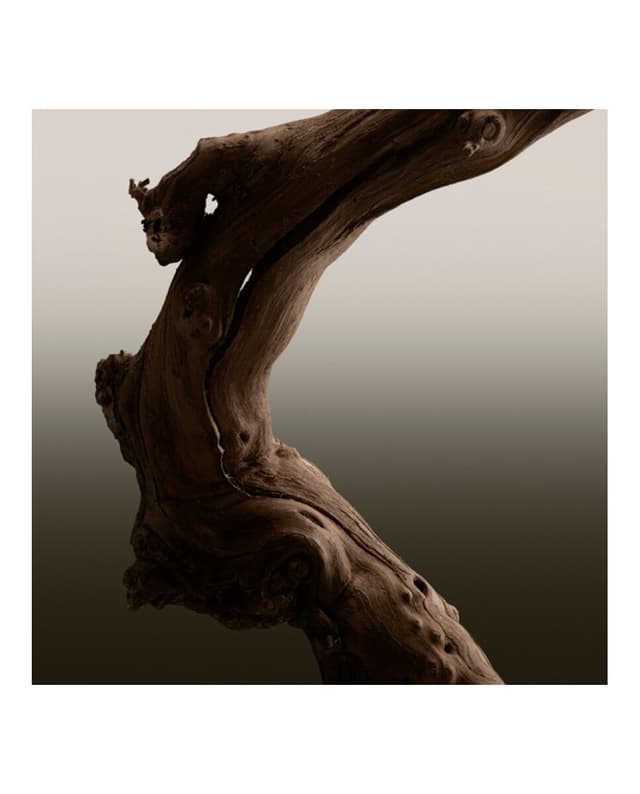 Thumbnail 4 de Burberry Eau de Toilette Hero 200 ml — fragancia masculina