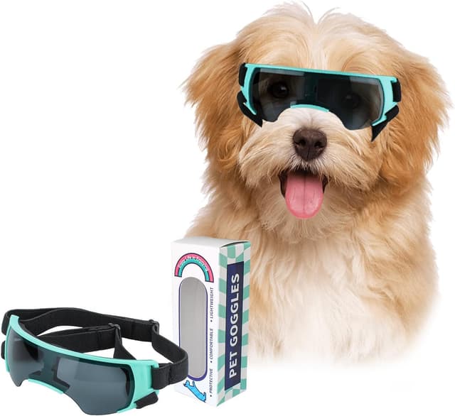 Thumbnail 6 de PETLESO Hunde Sonnenbrille Windschutzbrille