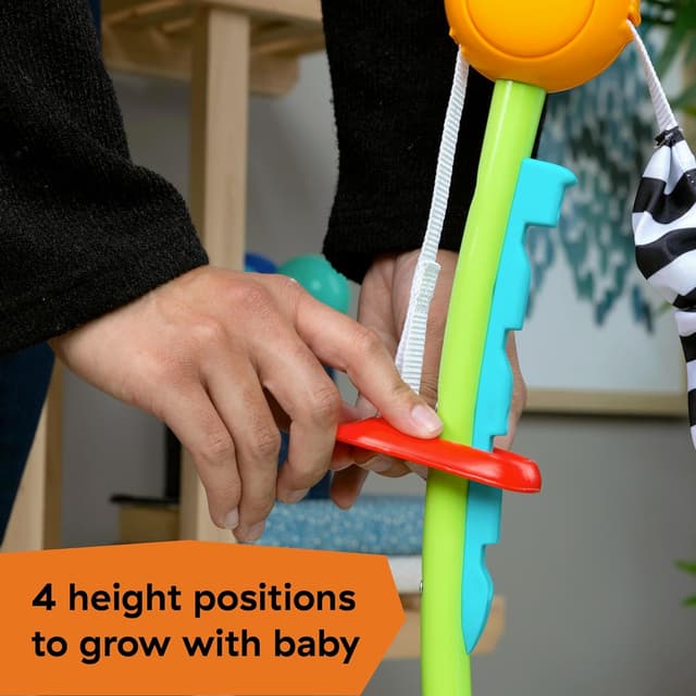 Thumbnail 4 de Baby Einstein Curiosity Cove 6–12 Monate