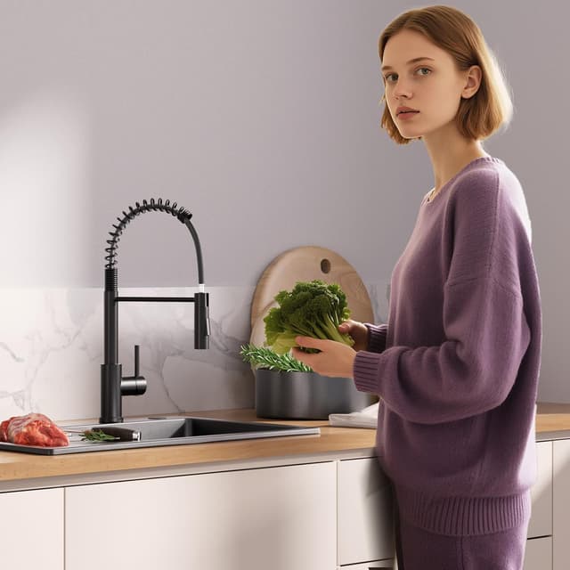 Thumbnail 1 de CECIPA Wasserhahn Küche Schwarz – Hochdruck-Küchenarmatur mit herunterziehbarer Brause, 2 Strahlarten und 360° Drehung