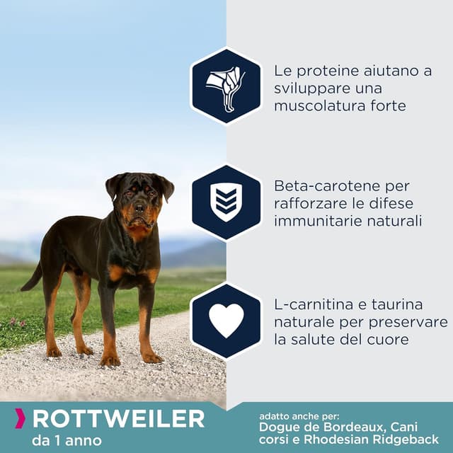 Detalle 2 de Eukanuba Breed Specific Alimento secco per Rottweiler adulti 12 kg