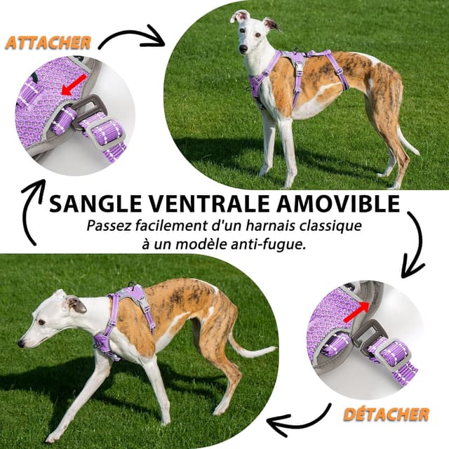 Detalle de Huntboo Harnais anti-fugue réfléchissant pour chien (lavande pourpre, S) – anti-traction réglable