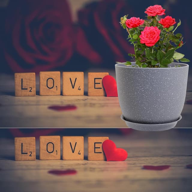 Thumbnail 5 de PROFIKLA 30cm, 25cm, 23cm plant pots pack of 3