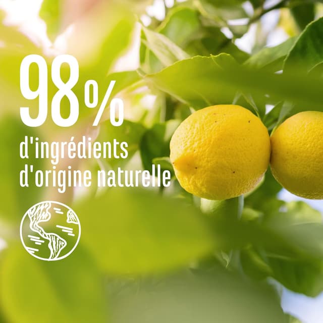 Detalle 2 de Le Petit Marseillais Shampoo Purificante Biologico Ortica & Limone senza silicone (300 ml)