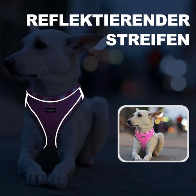Detalle de haapaw Hundegeschirr-Set mit Leine: Step-in-Welpengeschirr, verstellbar, reflektierend – kein Ziehen