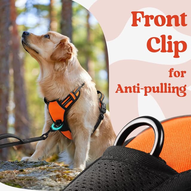 Thumbnail 6 de rabbitgoo Dog Harness (Medium, M) with Neck Release Buckle and Front/Back Clips – Orange