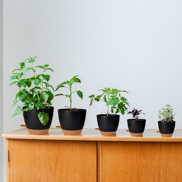 Thumbnail 6 de CSYY Plant Pots Indoor 7Pack