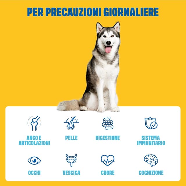 Detalle de IVVI Multivita per Cani Come bocconcino: snack con pollo, probiotici, vitamine B e Omega 3 (60 snack da 270 g)