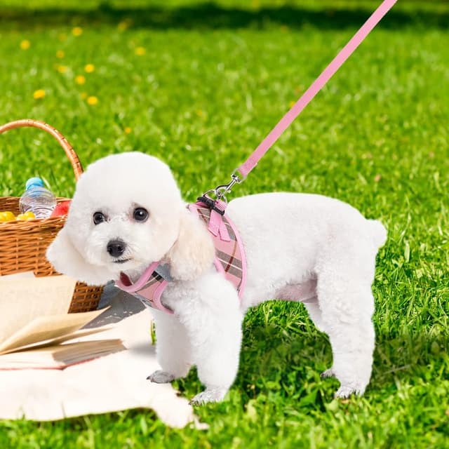 Thumbnail 6 de EXPAWLORER Hundegeschirr-Set mit Leine und Halsband (kariert, mittel, rosa) – kleines Outfit für Spaziergänge