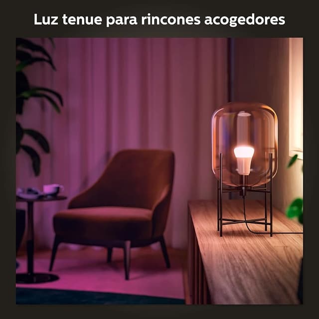 Detalle de Philips Hue A60 E27 806 lm, blanca y color