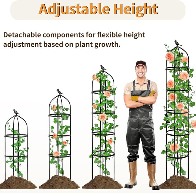 Detalle de Rustproof 205cm obelisk trellis for climbers