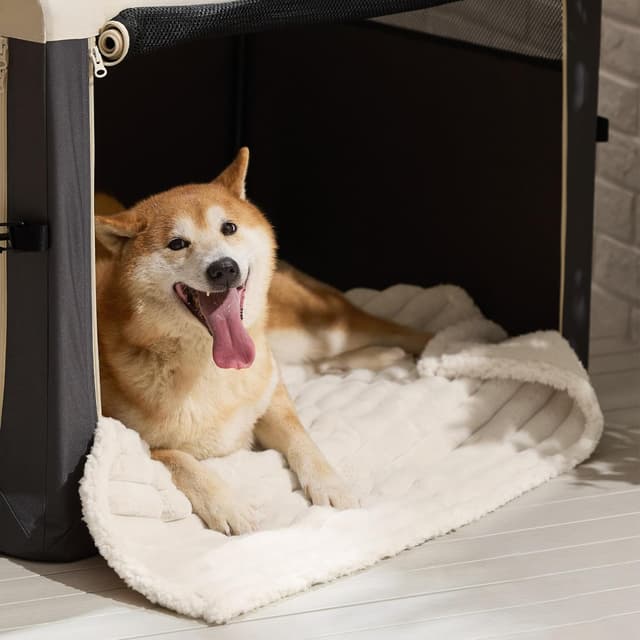 Thumbnail 6 de BEDSURE wasserdichte Hundedecke in Creme (102 x 127 cm) – waschbar & flauschig