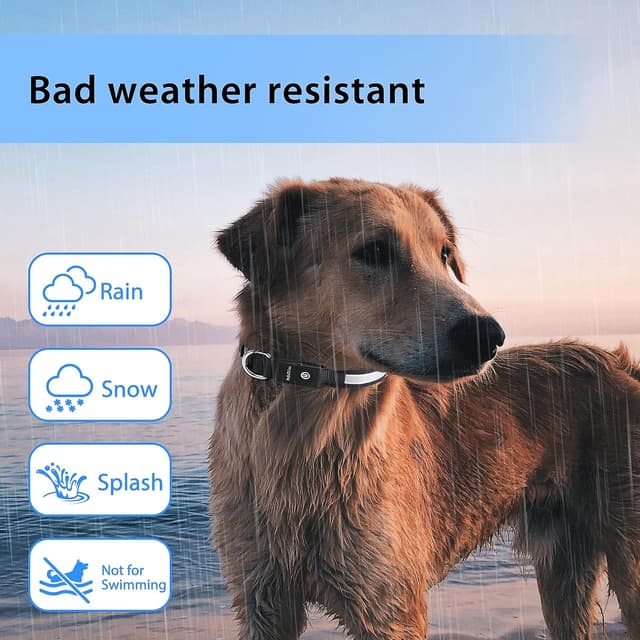 Thumbnail 6 de PcEoTllar Collar Luz para Perro recargable 11 h