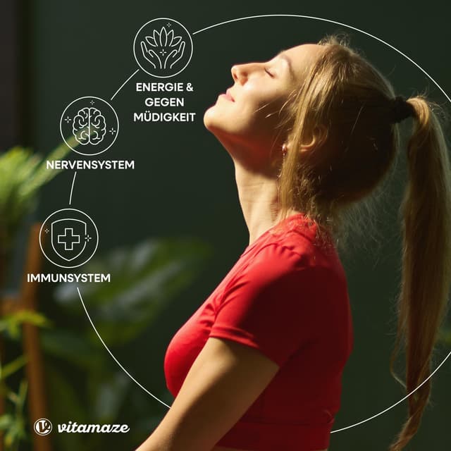 Detalle de Vitamin B12 500 mcg hochdosiert (mit B6 & B9) – 360 Tabletten als Nahrungsergänzung, Made in Germany