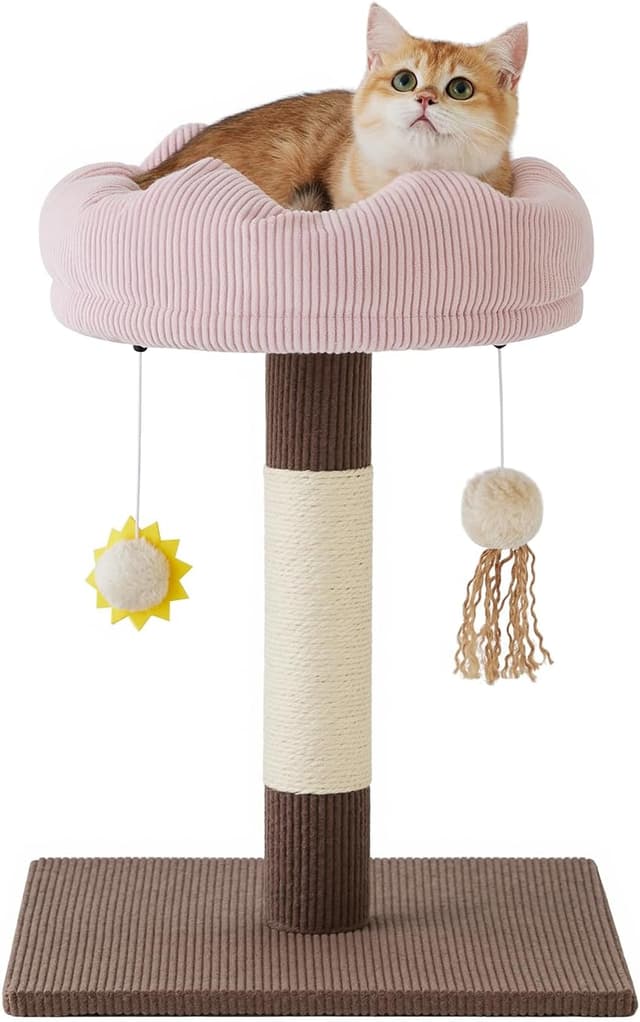Detalle de Gardner Pet Kleiner Katzenbaum (51 cm) mit gepolsterter Plattform, geflochtenem Sisal und Plüschball