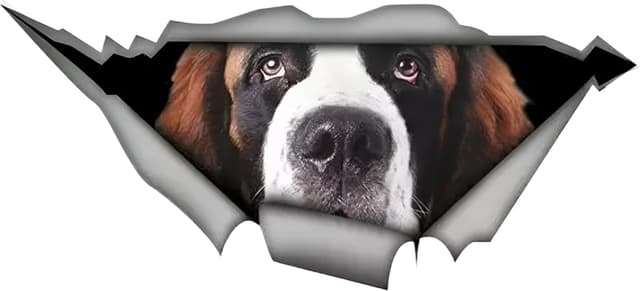 Detalle de TIZIKJ Autoaufkleber Bernhardiner 22 cm