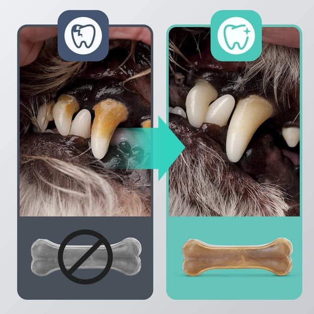 Thumbnail 2 de Nobleza Osso pressato 15 cm