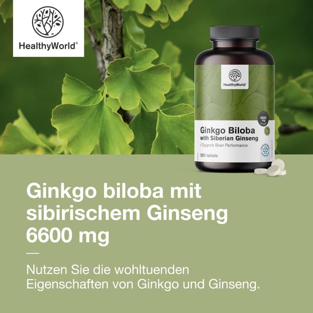 Detalle 2 de HealthyWorld Ginkgo Biloba mit sibirischem Ginseng (6.600 mg) – 365 Tabletten für die tägliche kognitive Unterstützung