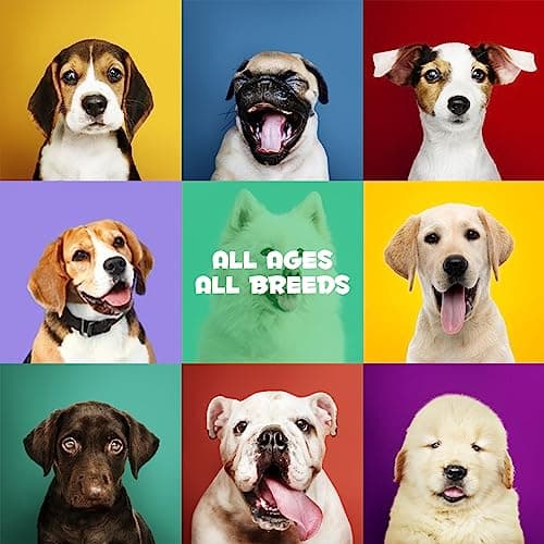 Thumbnail 5 de PLOBRT Probióticos 120 masticables para perros