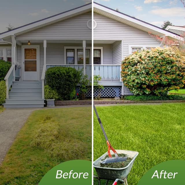 Thumbnail 6 de Walensee 15-Inch Lawn Thatch Rake for Durable Yard Cleaning