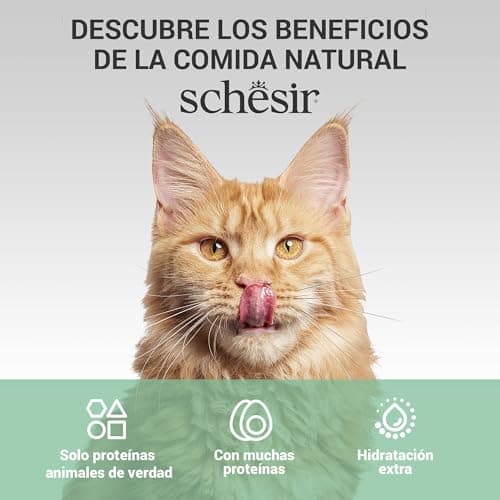 Thumbnail 7 de Schesir Filetes de Atún y Calabaza, 12×70 g 🐱