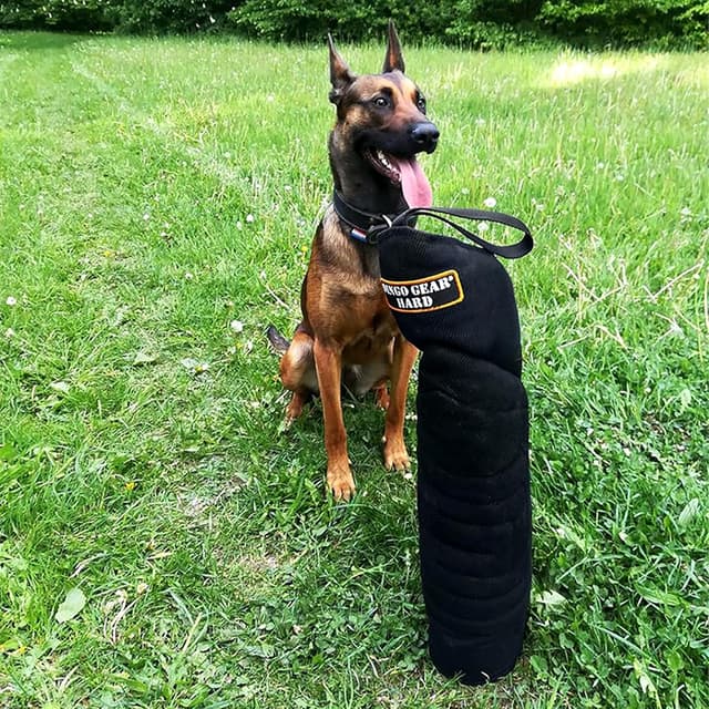 Thumbnail 6 de Dingo Gear Schutzarm Extern Hard Nylcot