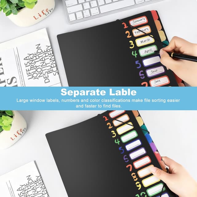 Detalle de Fododo 2er-Set A4 Dokumentenmappe mit 12 Fächern und Gummizug (Schwarz)