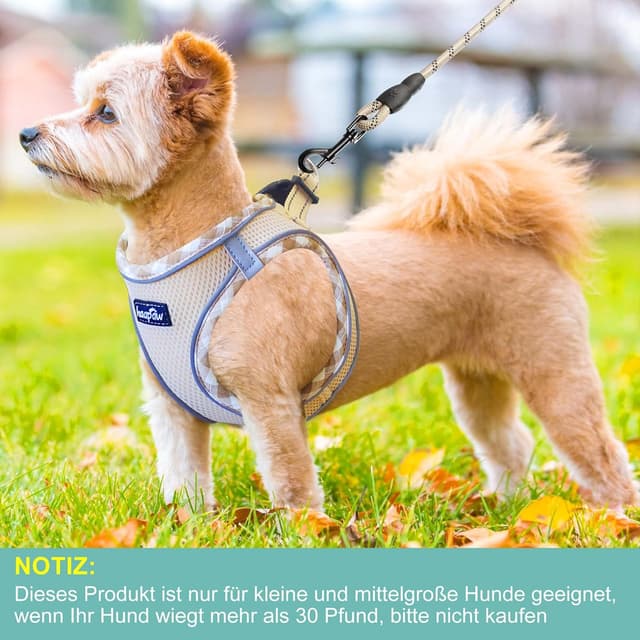 Thumbnail 3 de haapaw Hundegeschirr und Leine Set (kein Ziehen) mit verstellbarem, reflektierendem Step-in-Welpengeschirr