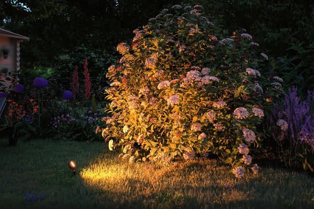 Thumbnail 4 de Paulmann 93934 Spotlight 3000K