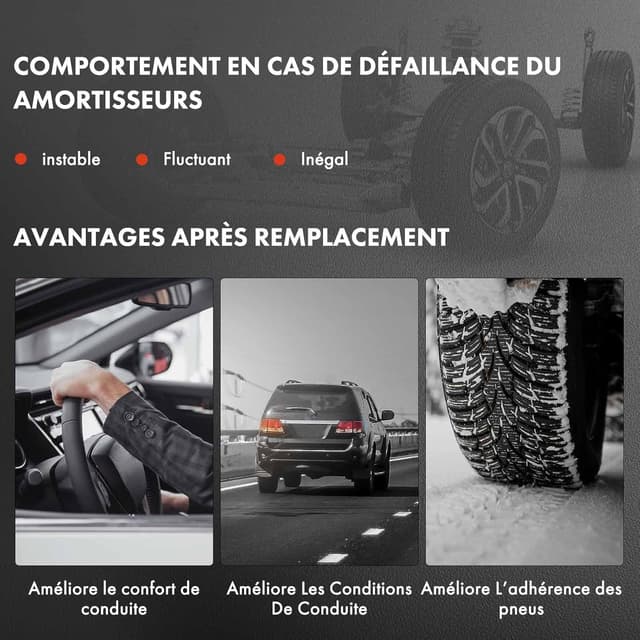 Thumbnail 5 de Frankberg 637mm Amortisseurs arrière pour 307/308