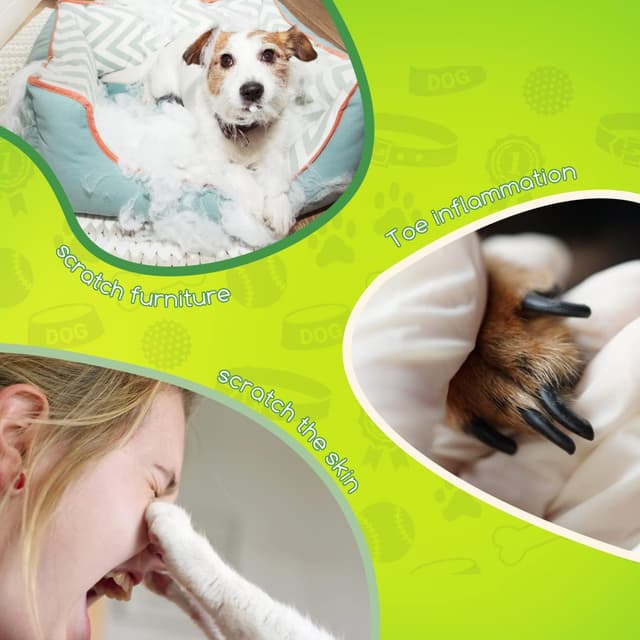 Thumbnail 5 de Nobleza Coupe-ongles chiens et chats ✂