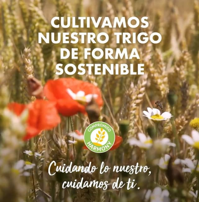 Thumbnail 4 de Fontaneda MarieLu Galletas Cereales 550 g 🍪