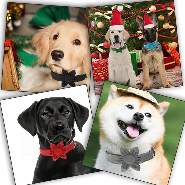 Detalle 2 de Asvin Velvet Sunflower Puppy Collar