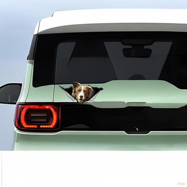 Detalle 2 de Border Collie 22 cm Autoaufkleber