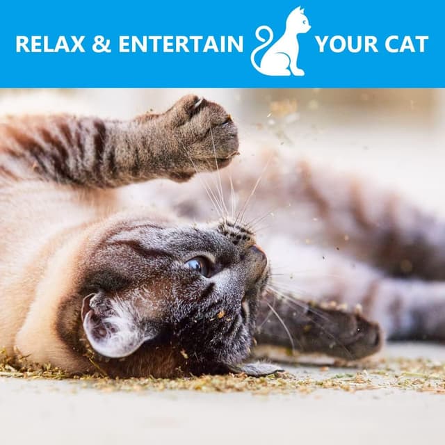 Thumbnail 6 de OSDUE Katzenminze 100 g mit SĂ€ckchen đ±